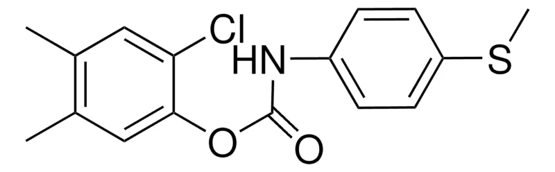 Sigma-Aldrich 2-CHLORO-4,5-DIMETHYLPHENYL N-(4-(METHYLTHIO)PHENYL)CARBAMATE,AldrichCPR