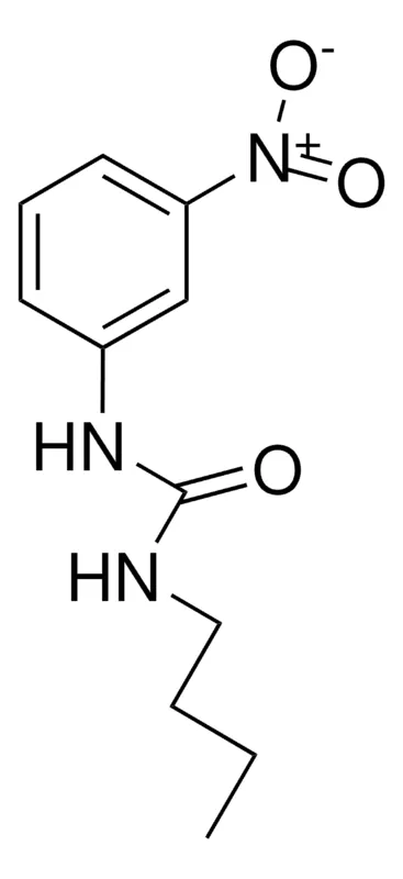 Sigma-Aldrich 1-BUTYL-3-(3-NITROPHENYL)UREA,AldrichCPR