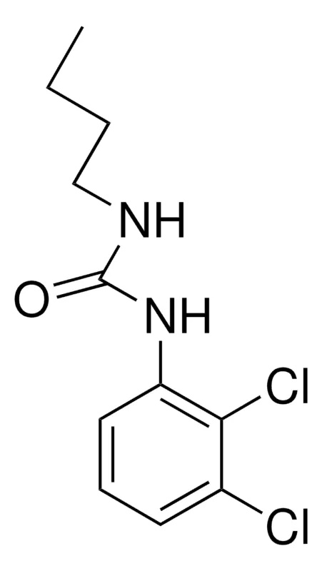 Sigma-Aldrich 1-BUTYL-3-(2,3-DICHLOROPHENYL)UREA，AldrichCPR