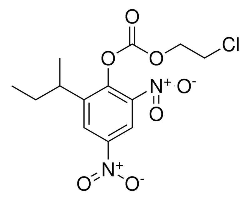 Sigma-Aldrich 2-SEC-BUTYL-4,6-DINITROPHENYL 2-CHLOROETHYL CARBONATE,AldrichCPR