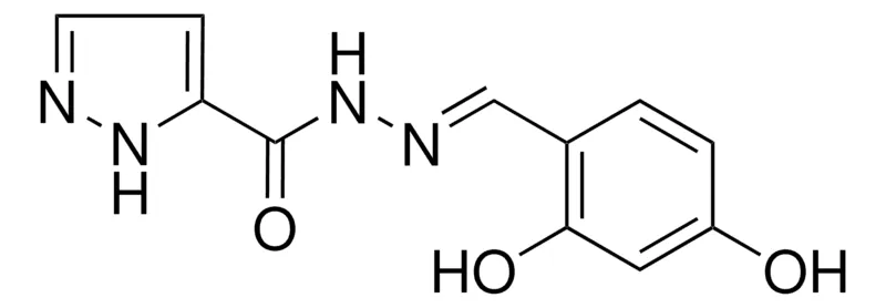 Sigma-Aldrich 2H-PYRAZOLE-3-CARBOXYLIC ACID (2,4-DIHYDROXY-BENZYLIDENE)-HYDRAZIDE,AldrichCPR