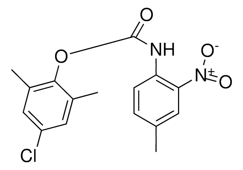 Sigma-Aldrich 4-CHLORO-2,6-DIMETHYLPHENYL N-(4-METHYL-2-NITROPHENYL)CARBAMATE，AldrichCPR