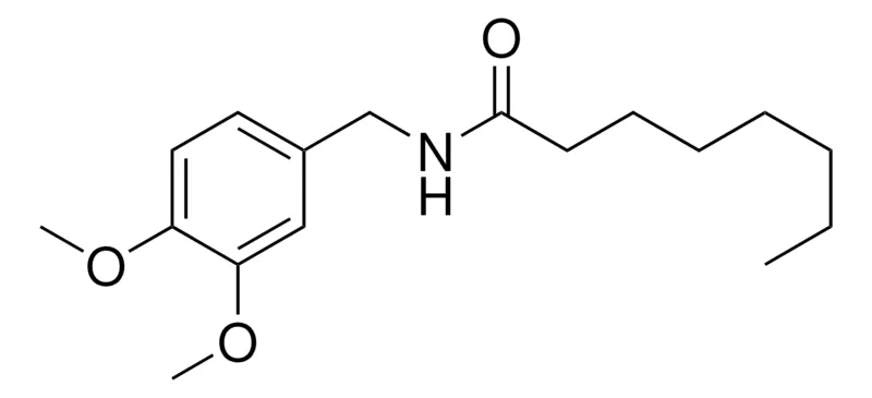Sigma-Aldrich N-(3,4-DIMETHOXYBENZYL)OCTANAMIDE,AldrichCPR