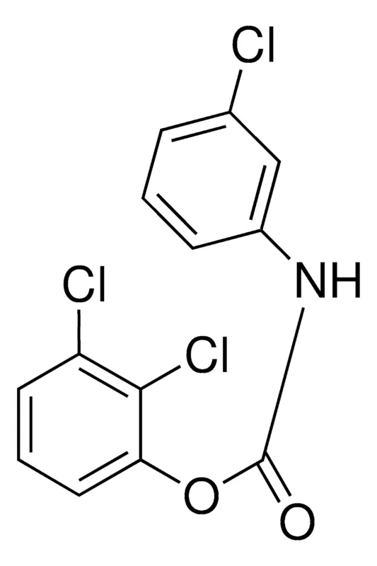 Sigma-Aldrich 2,3-DICHLOROPHENYL N-(3-CHLOROPHENYL)CARBAMATE,AldrichCPR