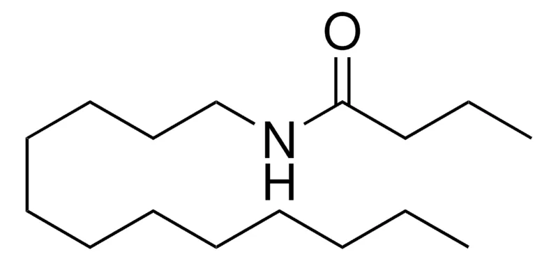 Sigma-Aldrich N-DODECYL-BUTYRAMIDE,AldrichCPR