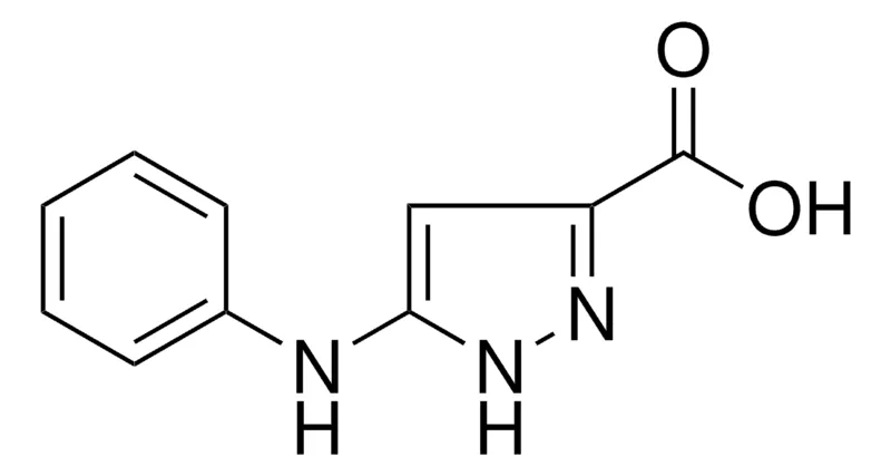 Sigma-Aldrich 5-PHENYLAMINO-1H-PYRAZOLE-3-CARBOXYLIC ACID,AldrichCPR