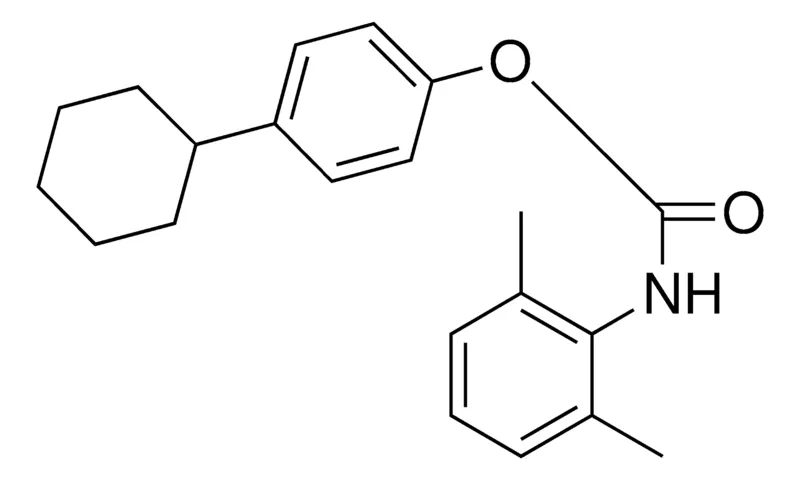 Sigma-Aldrich 4-CYCLOHEXYLPHENYL N-(2,6-XYLYL)CARBAMATE,AldrichCPR