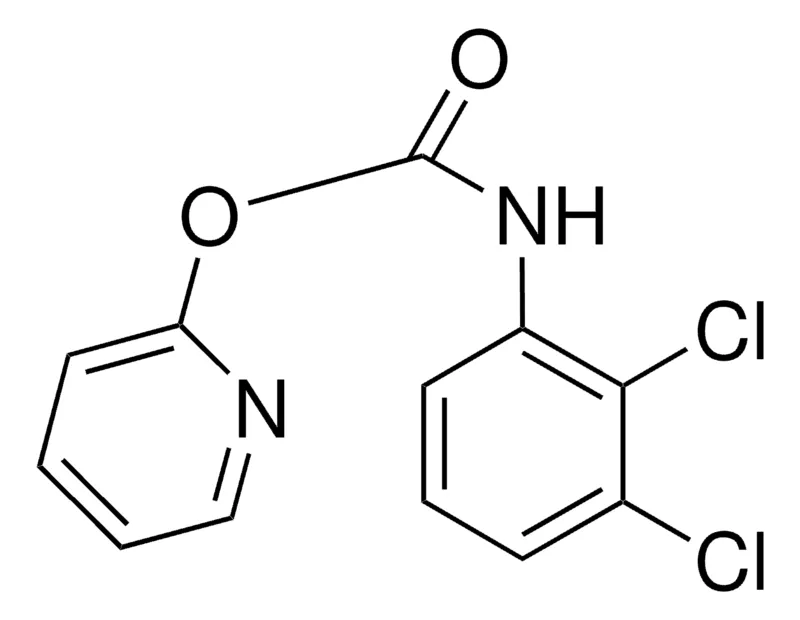 Sigma-Aldrich 2-PYRIDYL N-(2,3-DICHLOROPHENYL)CARBAMATE,AldrichCPR