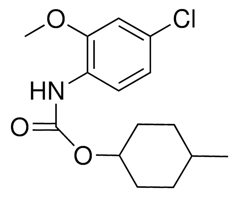Sigma-Aldrich 4-METHYLCYCLOHEXYL N-(4-CHLORO-2-METHOXYPHENYL)CARBAMATE,AldrichCPR