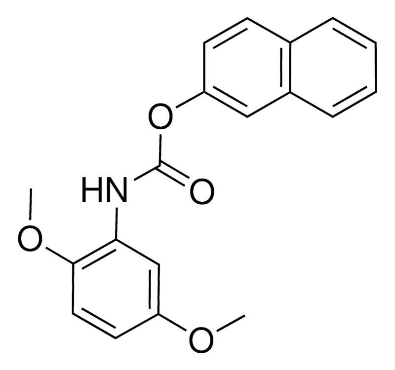 Sigma-Aldrich 2-NAPHTHYL N-(2,5-DIMETHOXYPHENYL)CARBAMATE,AldrichCPR