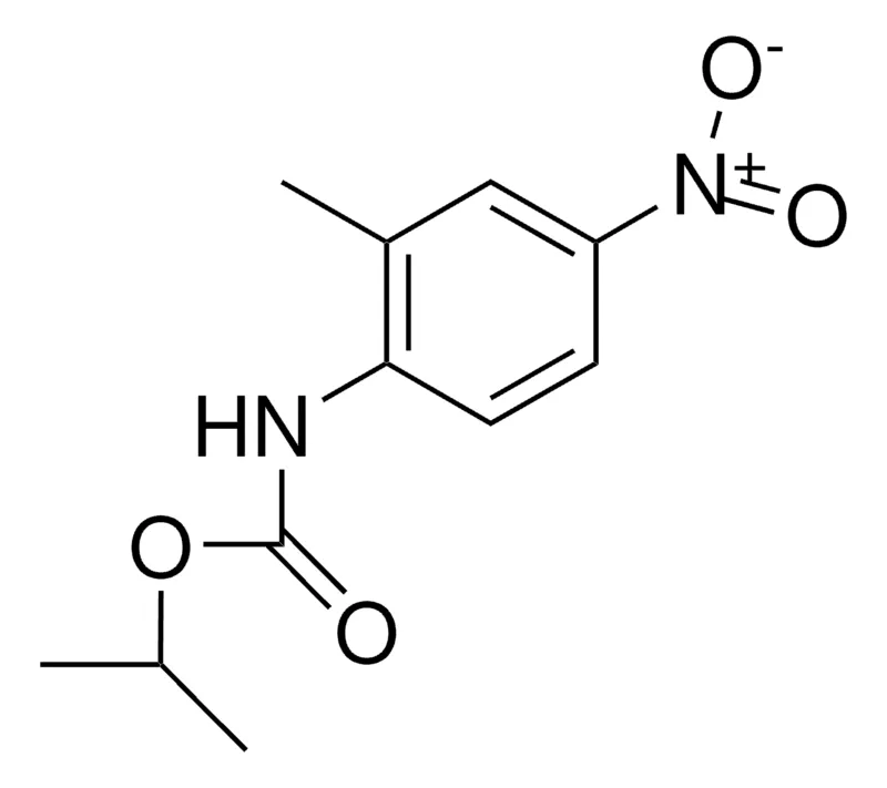 Sigma-Aldrich ISOPROPYL N-(2-METHYL-4-NITROPHENYL)CARBAMATE,AldrichCPR