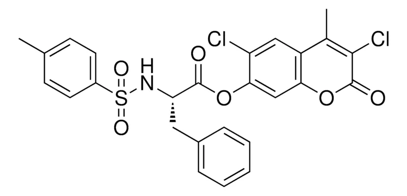 Sigma-Aldrich 3,6-DICHLORO-4-METHYL-2-OXO-2H-CHROMEN-7-YL (2S)-2-{[(4-METHYLPHENYL)SULFONYL]AMINO}-3-PHENYLPROPANOATE，AldrichCPR