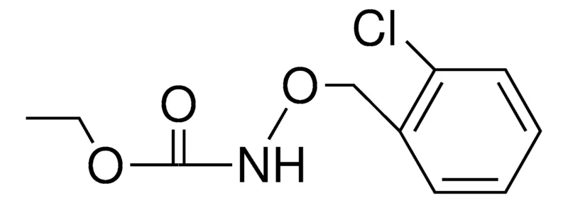 Sigma-Aldrich ETHYL N-(2-CHLOROBENZYLOXY)CARBAMATE,AldrichCPR