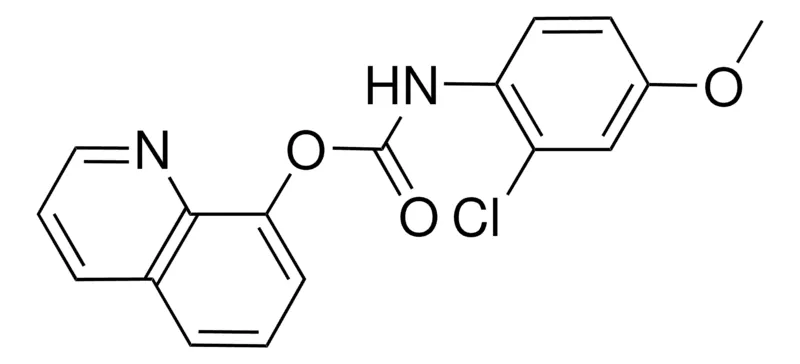 Sigma-Aldrich 8-QUINOLYL N-(2-CHLORO-4-METHOXYPHENYL)CARBAMATE,AldrichCPR