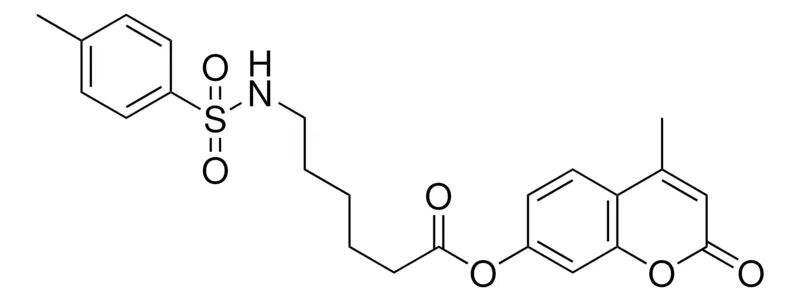Sigma-Aldrich 6-(TOLUENE-4-SULFONYLAMINO)-HEXANOIC ACID 4-METHYL-2-OXO-2H-CHROMEN-7-YL ESTER,AldrichCPR