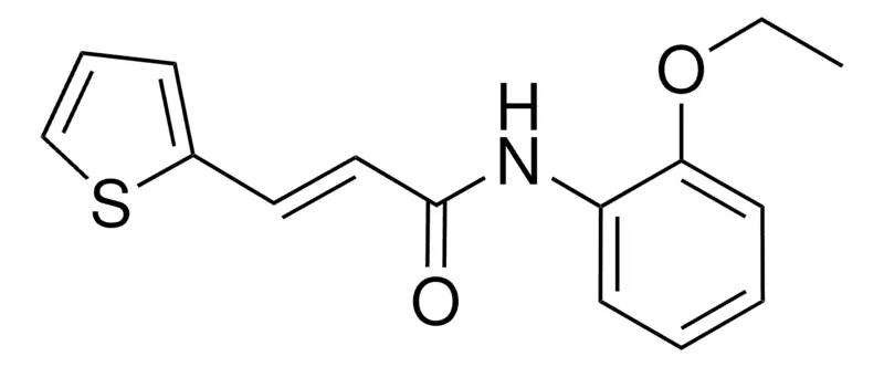 Sigma-Aldrich N-(2-ETHOXYPHENYL)-3-(2-THIENYL)-2-PROPENAMIDE,AldrichCPR