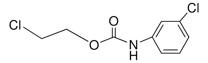 Sigma-Aldrich 2-CHLOROETHYL N-(3-CHLOROPHENYL)CARBAMATE,AldrichCPR