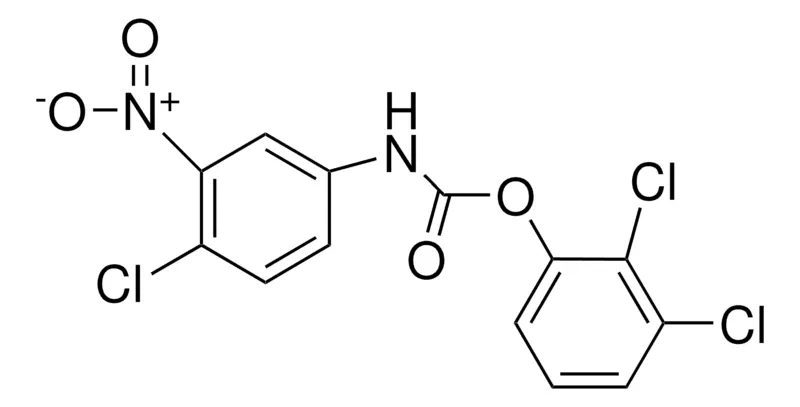 Sigma-Aldrich 2,3-DICHLOROPHENYL N-(4-CHLORO-3-NITROPHENYL)CARBAMATE,AldrichCPR