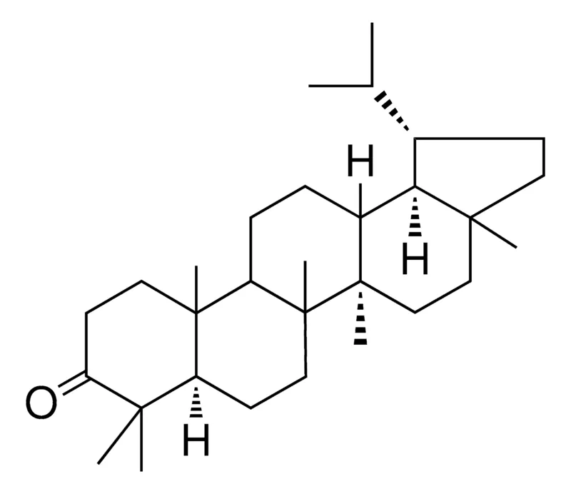 Sigma-Aldrich LUPAN-3-ONE,AldrichCPR