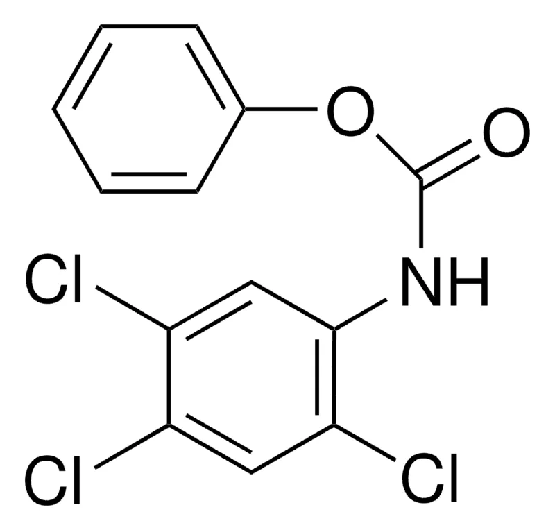 Sigma-Aldrich PHENYL N-(2,4,5-TRICHLOROPHENYL)CARBAMATE,AldrichCPR