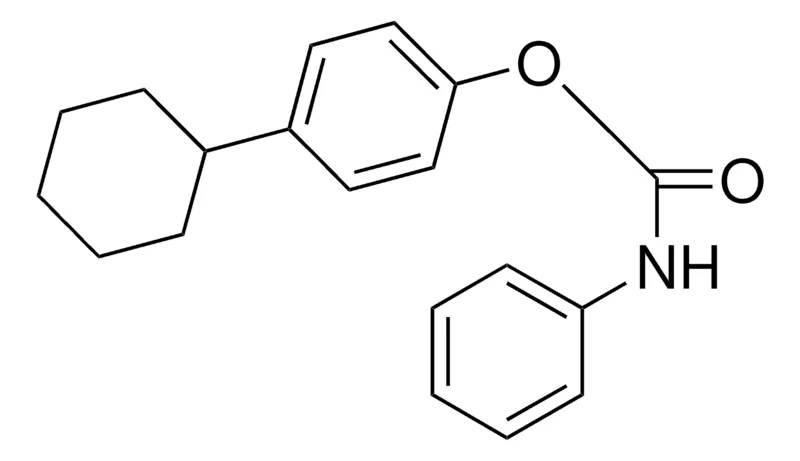 Sigma-Aldrich 4-CYCLOHEXYLPHENYL N-PHENYLCARBAMATE,AldrichCPR