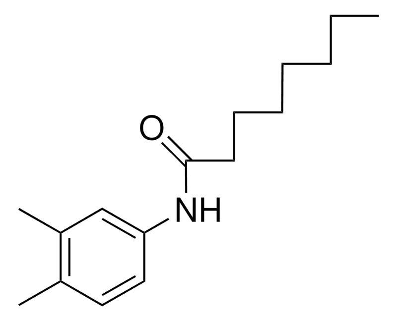 Sigma-Aldrich 3',4'-OCTANOXYLIDIDE,AldrichCPR