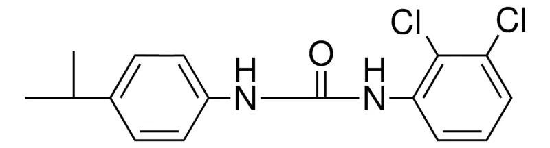 Sigma-Aldrich 1-(2,3-DICHLORO-PHENYL)-3-(4-ISOPROPYL-PHENYL)-UREA,AldrichCPR