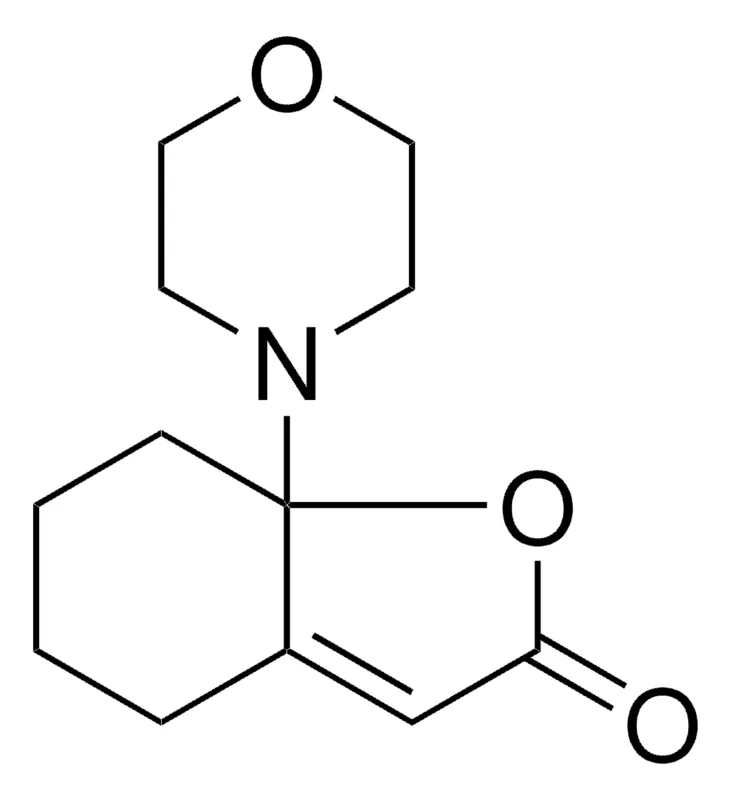 Sigma-Aldrich 7A-MORPHOLIN-4-YL-5,6,7,7A-TETRAHYDRO-4H-BENZOFURAN-2-ONE,AldrichCPR