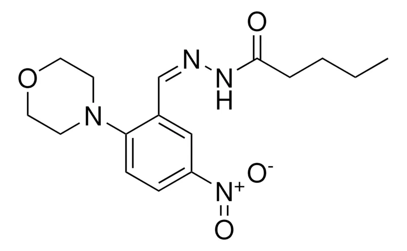 Sigma-Aldrich PENTANOIC ACID (2-MORPHOLIN-4-YL-5-NITRO-BENZYLIDENE)-HYDRAZIDE,AldrichCPR