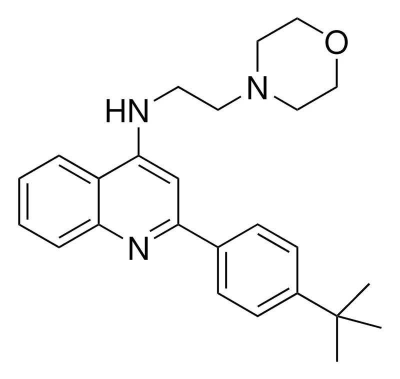 Sigma-Aldrich 2-(4-TERT-BUTYLPHENYL)-N-(2-(4-MORPHOLINYL)ETHYL)-4-QUINOLINAMINE,AldrichCPR