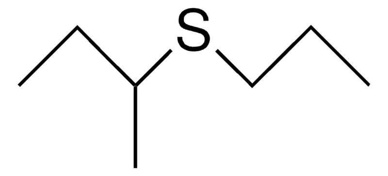 Sigma-Aldrich SEC-BUTYL PROPYL SULFIDE,AldrichCPR