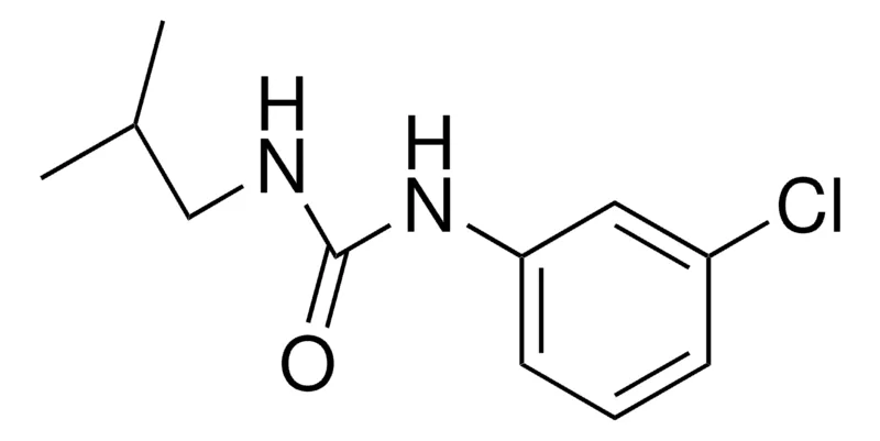Sigma-Aldrich 1-(3-CHLOROPHENYL)-3-ISOBUTYLUREA,AldrichCPR