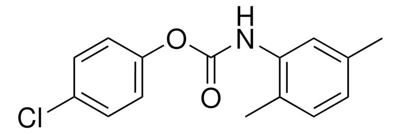 Sigma-Aldrich 4-CHLOROPHENYL N-(2,5-XYLYL)CARBAMATE,AldrichCPR