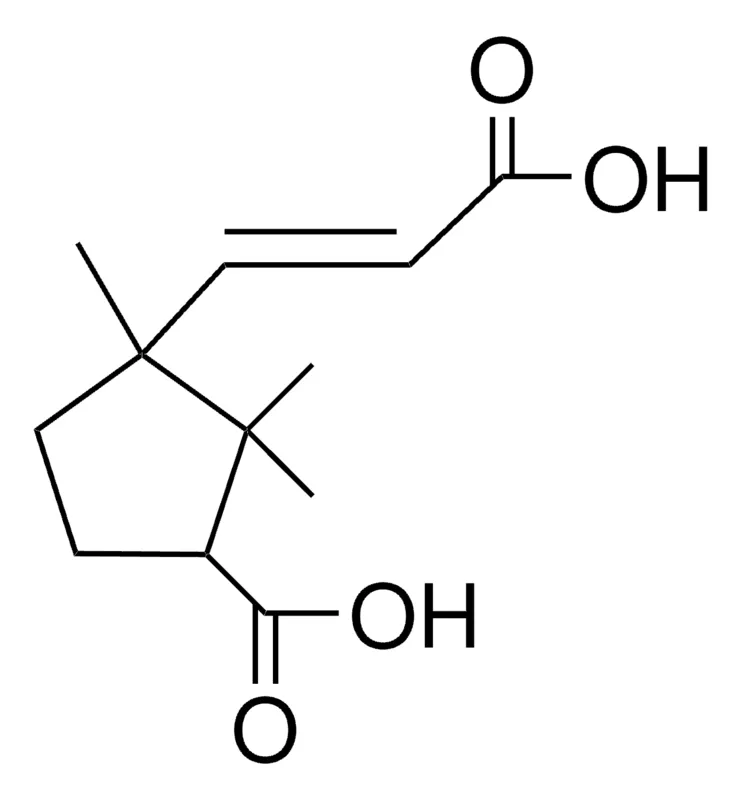 Sigma-Aldrich 3-CARBOXY-1,2,2-TRIMETHYLCYCLOPENTANEACRYLIC ACID,AldrichCPR
