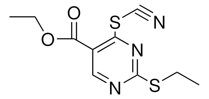 Sigma-Aldrich 5-CARBETHOXY-2-ETHYLTHIO-6-THIOCYANOPYRIMIDINE,AldrichCPR