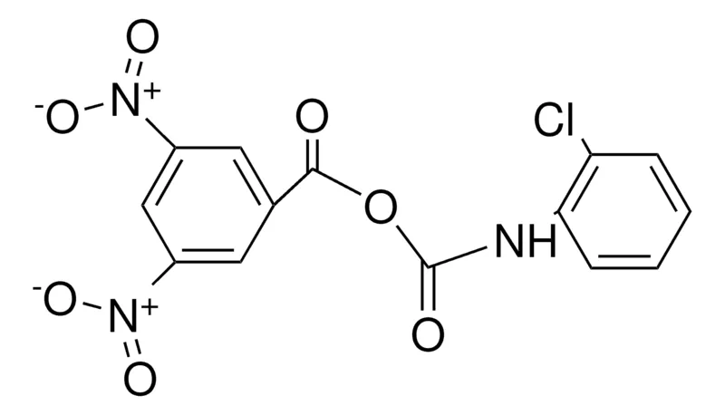 Sigma-Aldrich 3,5-DINITROBENZOYL N-(2-CHLOROPHENYL)CARBAMATE,AldrichCPR
