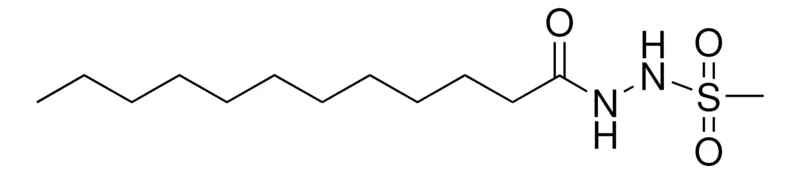 Sigma-Aldrich 1-DODECANOYL-2-METHYLSULFONYLHYDRAZINE，AldrichCPR