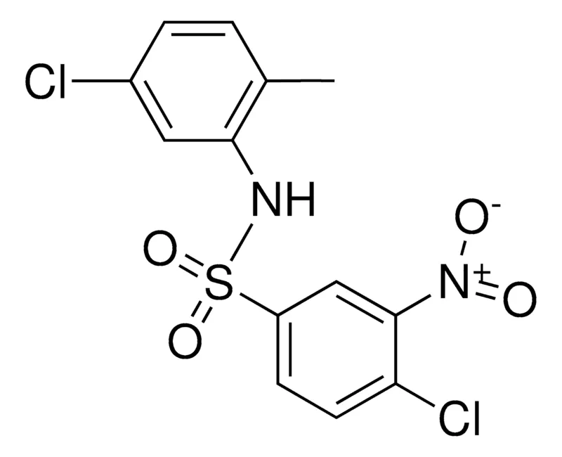 Sigma-Aldrich 4,5'-DICHLORO-2'-METHYL-3-NITROBENZENESULFONANILIDE,AldrichCPR