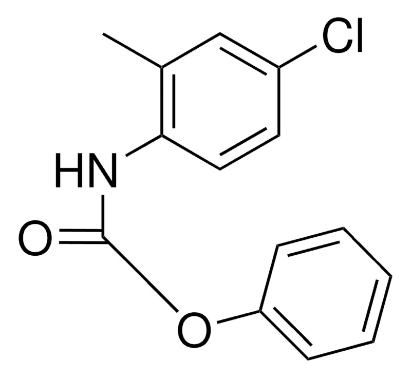 Sigma-Aldrich PHENYL N-(4-CHLORO-2-METHYLPHENYL)CARBAMATE,AldrichCPR