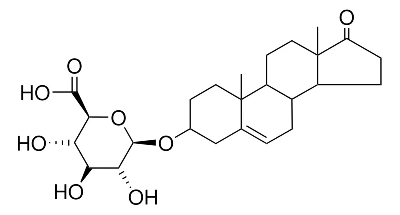 Sigma-Aldrich 17-OXOANDROST-5-EN-3-BETA-YL-BETA-D-GLUCURONIDE,AldrichCPR