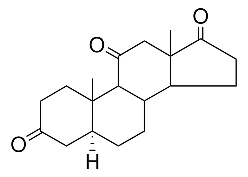 Sigma-Aldrich 5-ALPHA-ANDROSTANE-3,11,17-TRIONE,AldrichCPR