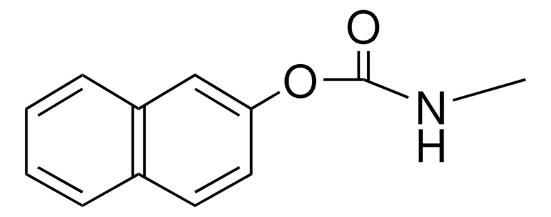 Sigma-Aldrich 2-NAPHTHYL N-METHYLCARBAMATE,AldrichCPR