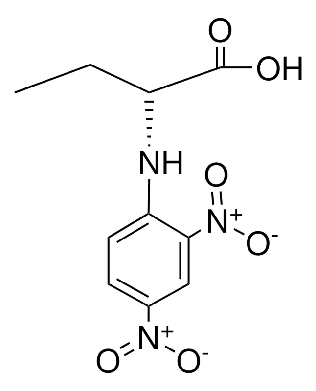 Sigma-Aldrich N-(2,4-DINITROPHENYL)-L-2-AMINOBUTYRIC ACID,AldrichCPR