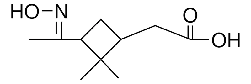 Sigma-Aldrich PINONIC ACID OXIME,AldrichCPR
