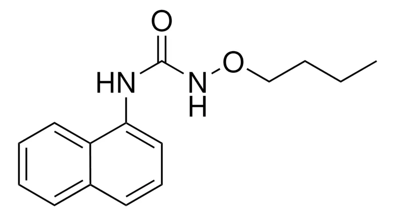 Sigma-Aldrich N-BUTOXY-N'-(1-NAPHTHYL)UREA,AldrichCPR