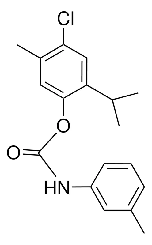 Sigma-Aldrich 4-CHLORO-2-ISOPROPYL-5-METHYLPHENYL N-(M-TOLYL)CARBAMATE,AldrichCPR