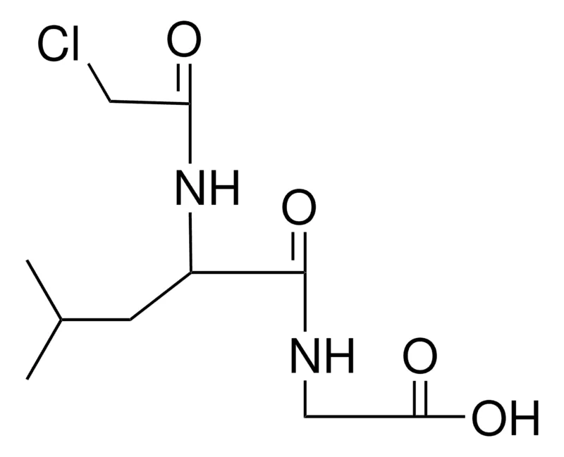Sigma-Aldrich CHLOROACETYL-D,L-LEUCYLGLYCINE,AldrichCPR
