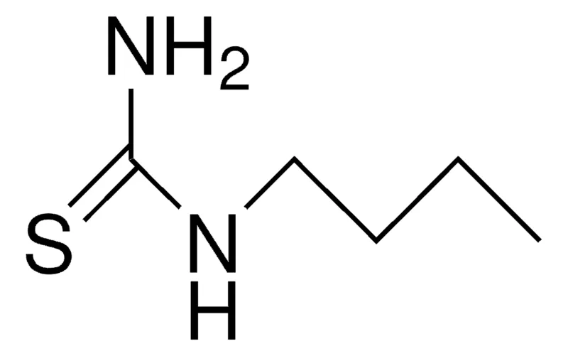Sigma-Aldrich 1-BUTYL-2-THIOUREA,AldrichCPR
