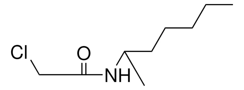 Sigma-Aldrich 2-CHLORO-N-(1-METHYLHEXYL)-ACETAMIDE,AldrichCPR