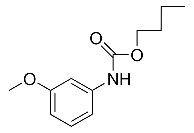 Sigma-Aldrich BUTYL N-(M-ANISYL)CARBAMATE,AldrichCPR